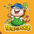 猪猪分拣员 iPhone版