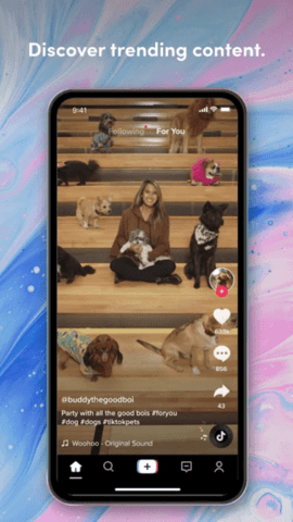 tiktok破解版 v19.3.3