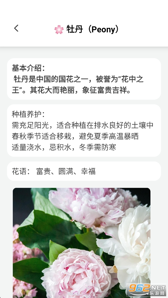 繁花乐看appv1.0.0截图3