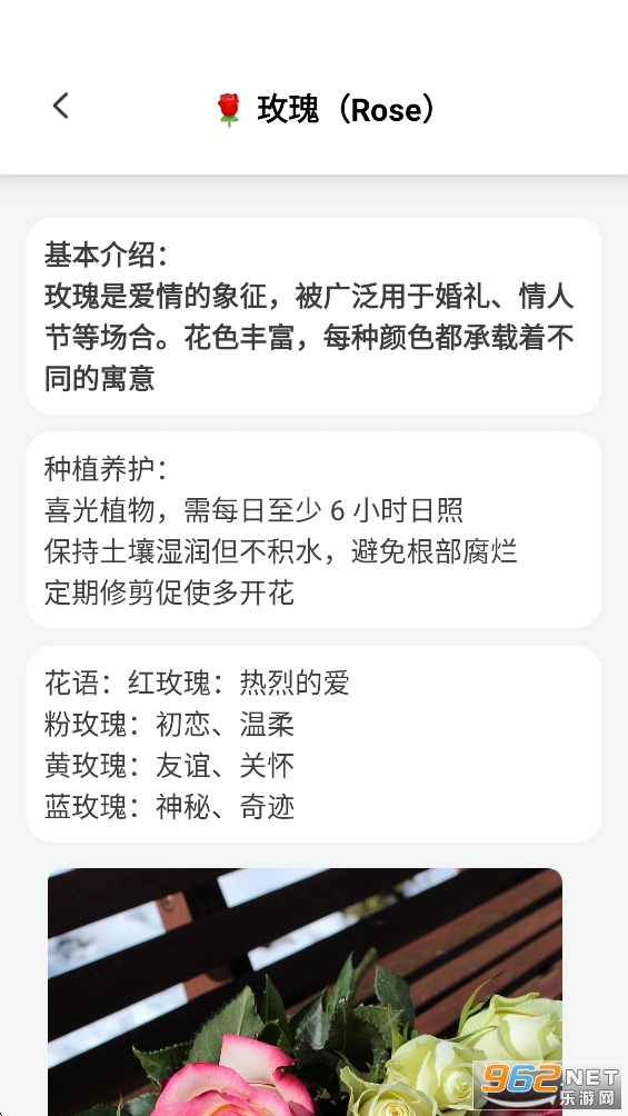 繁花乐看appv1.0.0截图4