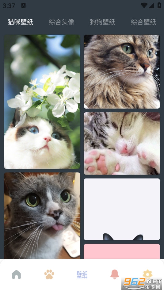 我家猫舍安卓版v1.3截图1