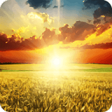 高考填志愿用哪些软件-高考志愿软件推荐 高考填志愿用哪些软件-高考志愿软件推荐