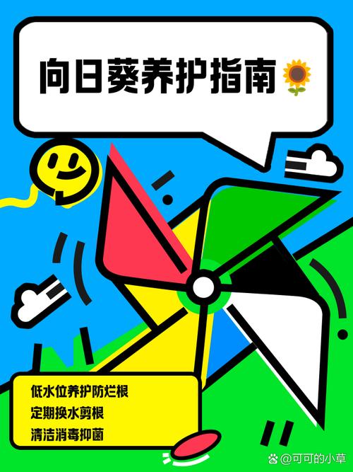 向日葵幸福宝xrk1_3_ark操作指南：家庭智能管理技巧与安全使用全解析