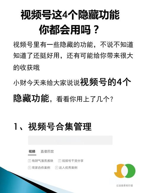 免费茄子成视频人app软件隐藏了哪些实用功能？内行揭秘三大使用技巧