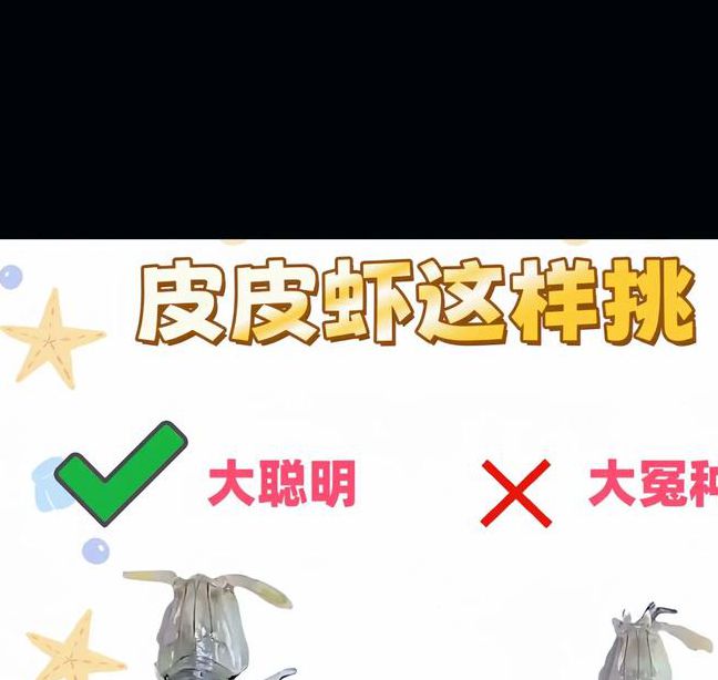 皮皮虾养殖致富秘籍大公开：如何通过蓝海战略实现年入百万？