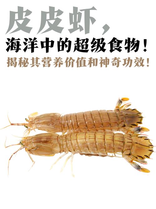 皮皮虾养殖致富秘籍大公开：如何通过蓝海战略实现年入百万？