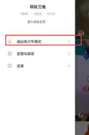 抖音火山版如何启用青少年保护模式-抖音火山版开启青少年模式的步骤指南