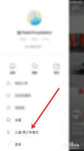 抖音火山版如何启用青少年保护模式-抖音火山版开启青少年模式的步骤指南
