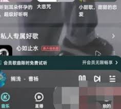 酷狗音乐如何启用访客通知——详细设置指南