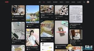 关于小红书充值的官方入口在哪里？如何找到可靠的充值通道？
