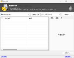 如何在Recuva中配置显示固态硬盘（SSD）驱动器——Recuva设置SSD驱动器的具体操作方法