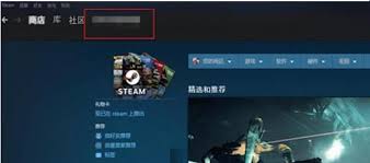 如何在Steam平台上访问和呈现个人资料——详尽攻略
