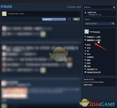 如何在Steam平台上访问和呈现个人资料——详尽攻略
