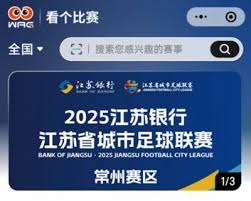 苏超联赛的门票抢购策略有哪些？如何高效观看比赛？