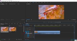 如何在PR中实现视频素材的覆盖操作—PR视频素材覆盖的具体方法