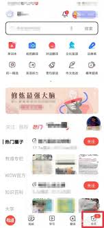 如何在有道词典中确认版本信息——详细教程分享