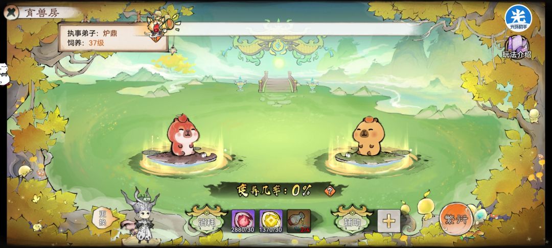 关于最强祖师灵兽峰的详细玩法指南