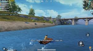 和平精英中，关于龙舟的具体位置在哪里？- 在游戏中，龙舟主要出现在哪些区域可以找到？

