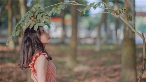 草莓榴莲向日葵18岁大全列表目录破解版