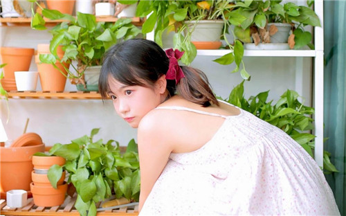 51大豆行情网仙踪林www