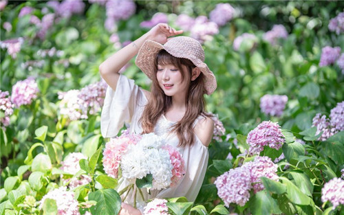 不用会员就能看的软件免费视频