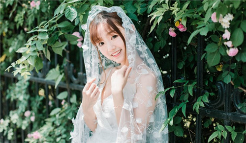 菠萝视频APP下载免费最新版