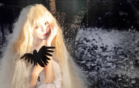 花季传媒每天免费三次下载污