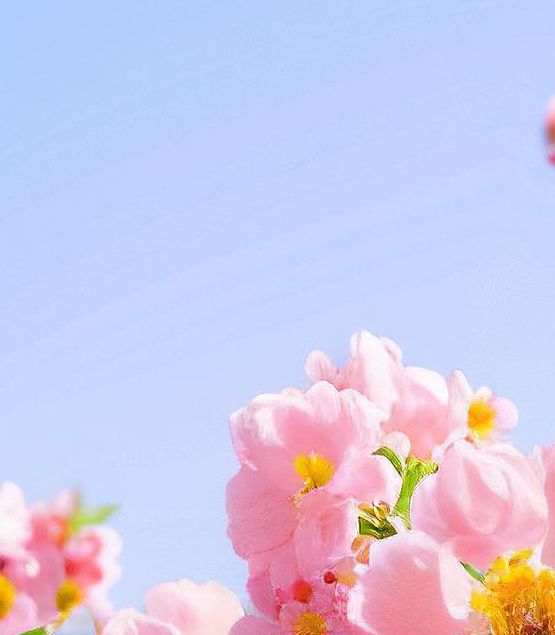 极品桃花运在线观看完整版