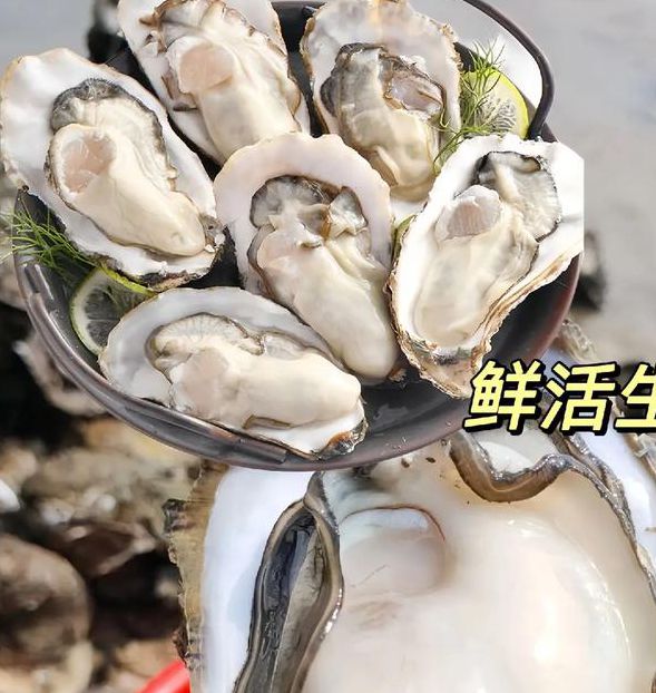 生蚝视频普通下载