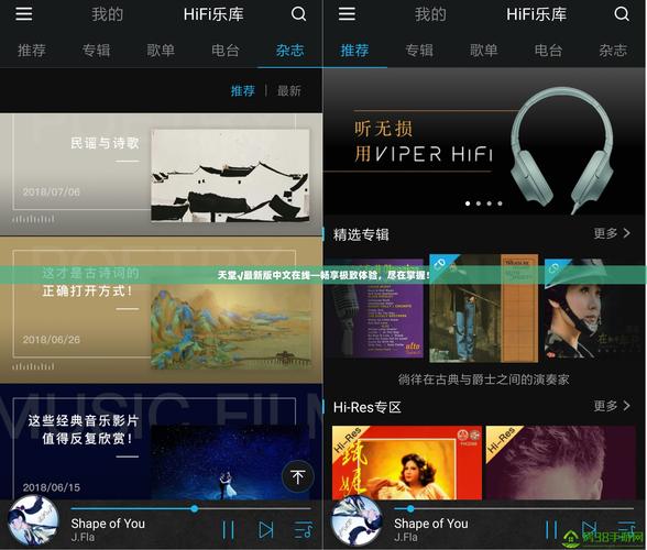 天堂视频最新版