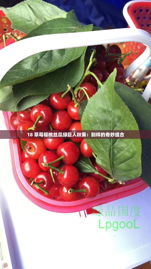 绿巨人草莓视频秋葵视频