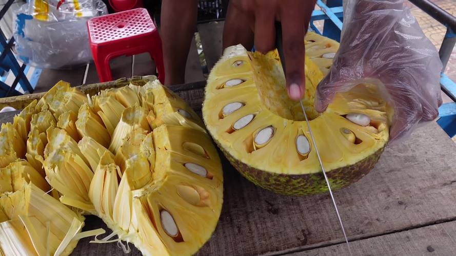 菠萝菠萝蜜免费观看视频