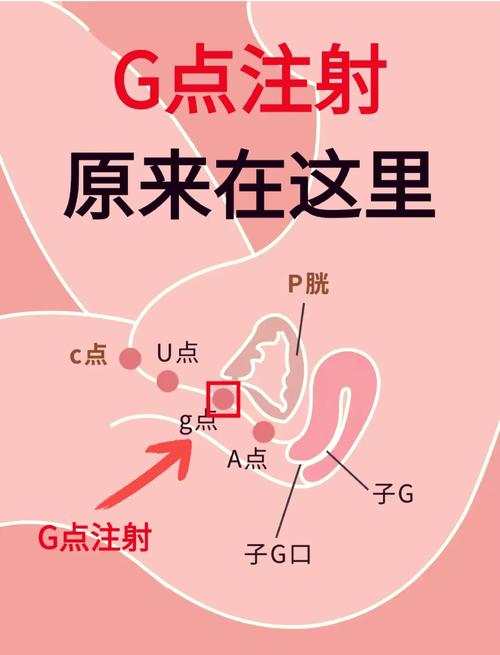 g点官方网站在线入口