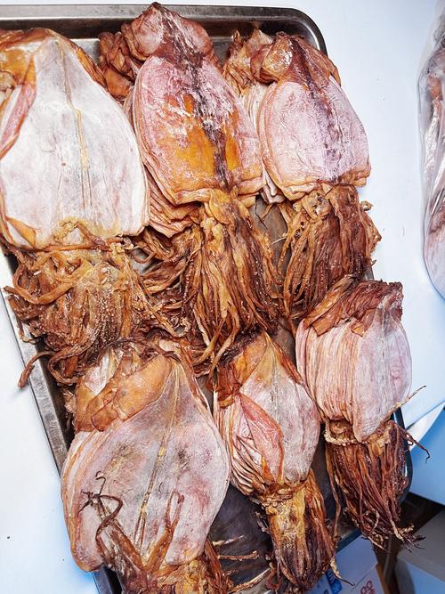 鱿鱼网进入官网by777