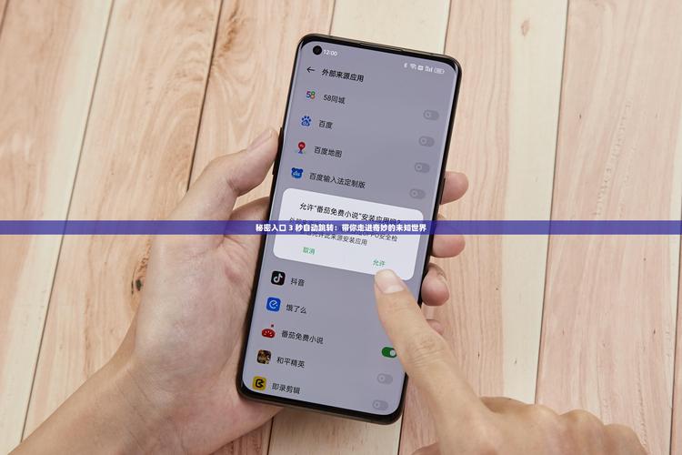 秘密入口等待跳转进入APP