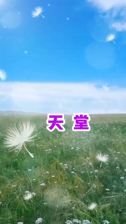 天堂视频最新版