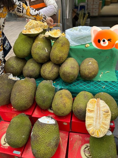 国产菠萝蜜麻豆一区