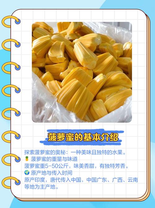 国产菠萝蜜麻豆一区