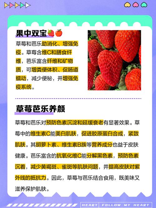 丝瓜鸭脖小猪芭乐草莓幸福宝