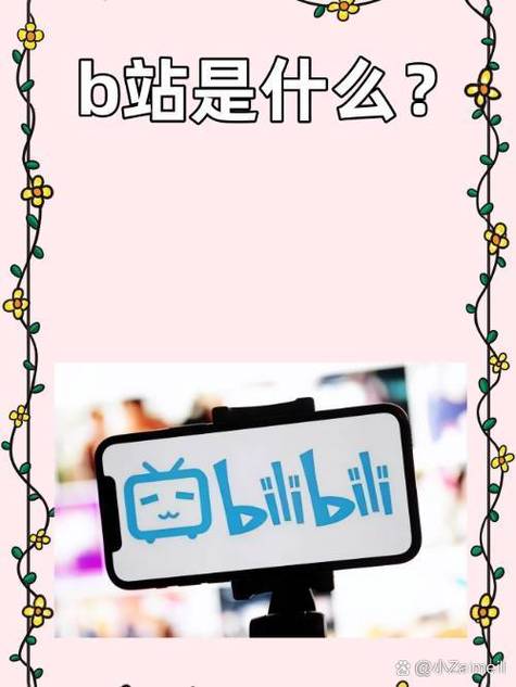 bilibili晚上少人不宜