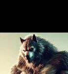 狼人视频无限ios