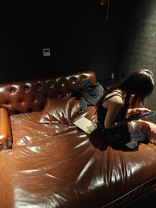 扁豆传媒私人影院入口