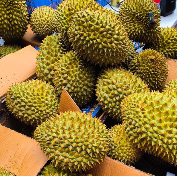 榴莲spliuliansp榴莲lllll99