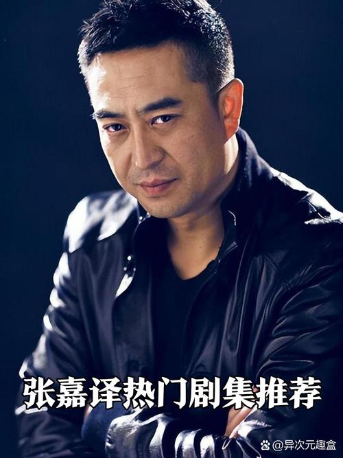 张嘉译的电视剧大全集