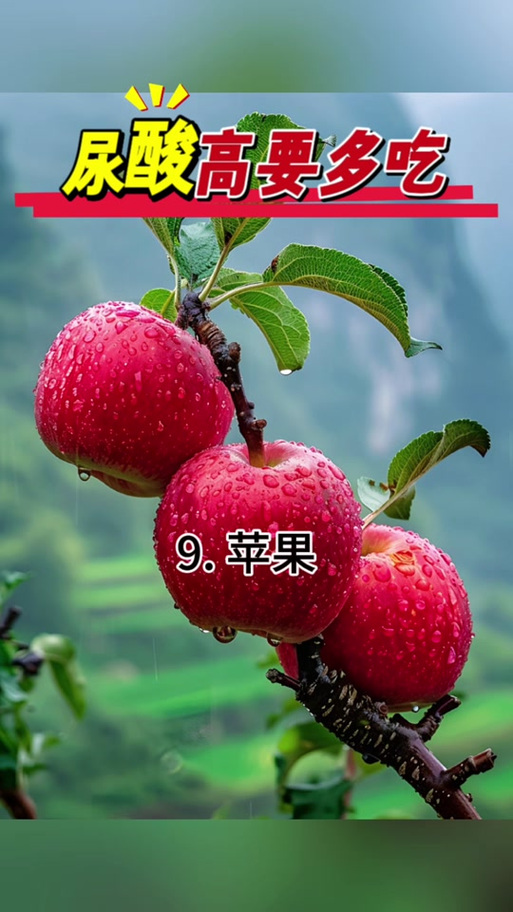 黄瓜秋葵石榴樱桃榴莲视频免费版