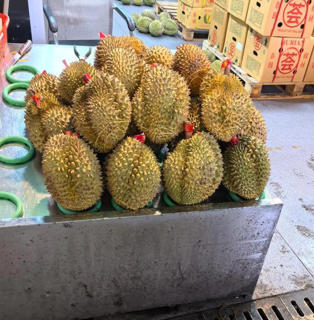 富二代榴莲观看在线