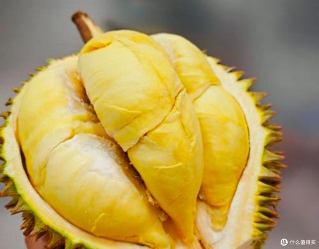 富二代榴莲观看在线