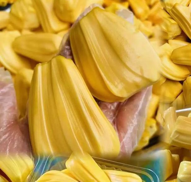 国产菠萝蜜麻豆一区