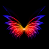 飞花动态壁纸最新版