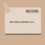 蜜芽2722永不失联